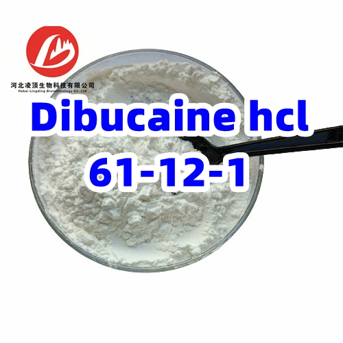 Local Anesthetics Dibucaine Hydrochloride CAS 61-12-1 Cinchocaine Powder