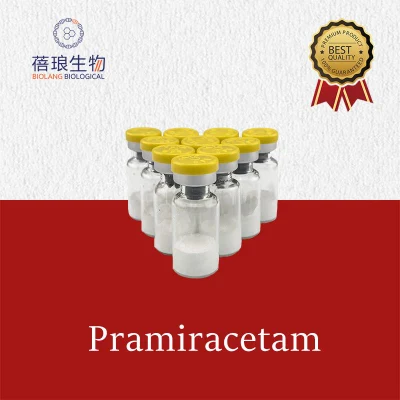 Pramiracetam CAS-68497-62-1 Fornecedor de fábrica da China Raw Chemical com API de desembaraço aduaneiro 100% gratuito